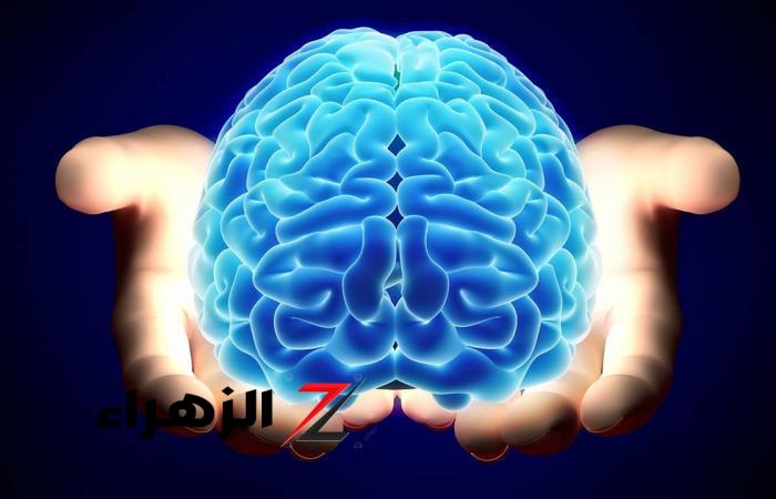 وداعآ للنسيان” .. بطريقة سهله ستصبح ذاكرتك أقوى 10 مرات وتزيد قدرتك على الذكاء الخارق”!