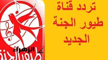 ماما جابت بيبي..  ضبط تردد قناة طيور الجنة 2026 Toyor Aljanah على جميع الاقمار لمشاهدة اجمل البرامج واغاني الاطفال