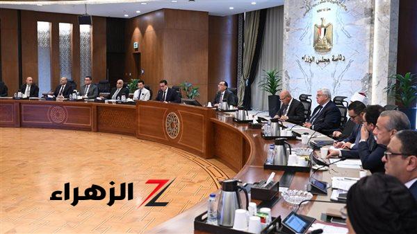 رئيس الوزراء يترأس اجتماع المجلس القومي للسكان