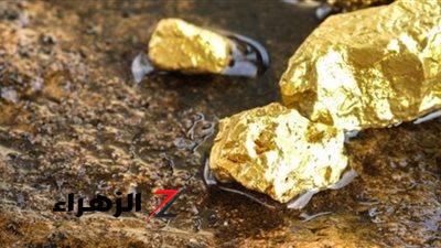 هل تم فرض رسوم جمركية جديدة على واردات الذهب.. مصلحة الجمارك تجيب.. اعرف التفاصيل