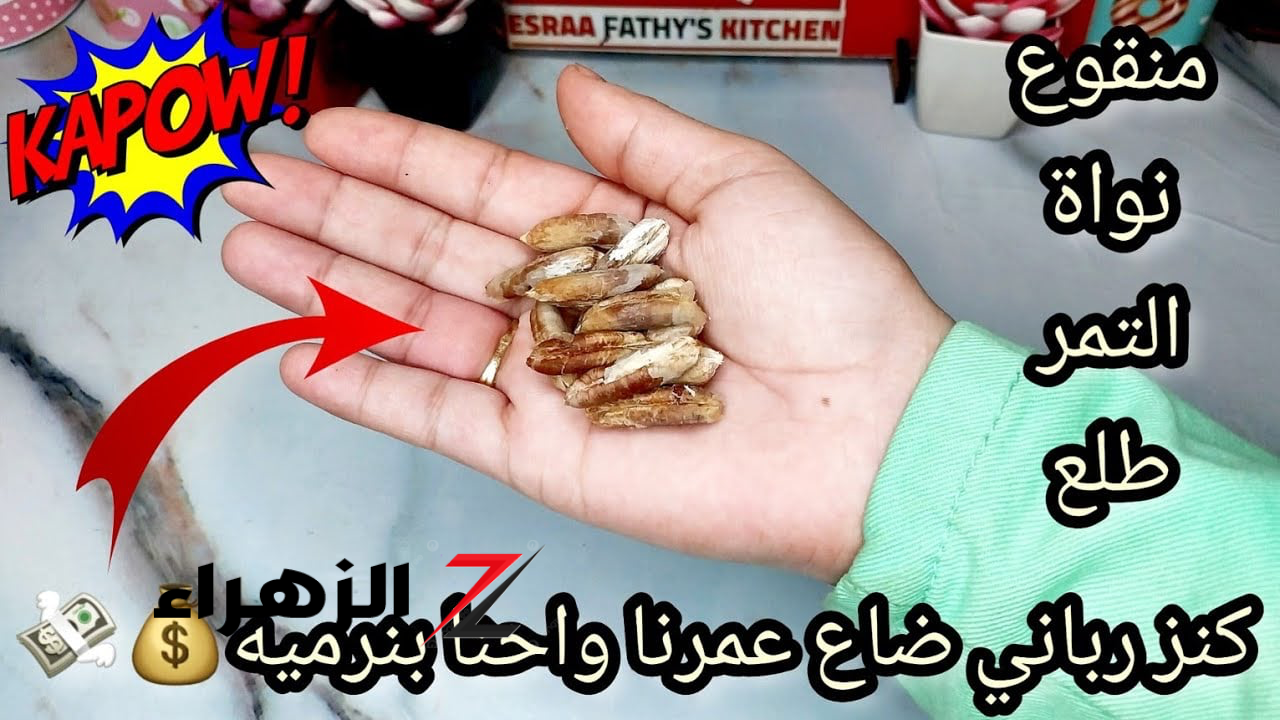 مخطرتش على الجن الازرق.. !! تعالي اقولك تعملي ايه لو عندك نواة البلح.. كنز غذائي مهمل يمكن أن يحسن صحتك بطرق غير متوقعة