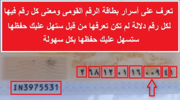 تعرف على أسرار بطاقة الرقم القومى ومعنى كل رقم فيها.. أسرار وخبايا لم تكن تتخيلها