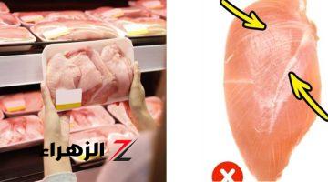 تسبب مرض قاتل.. لو شوفت هذه العلامة على الفراخ أرميها فورًا فهذا يعني أنها فاسدة 100%