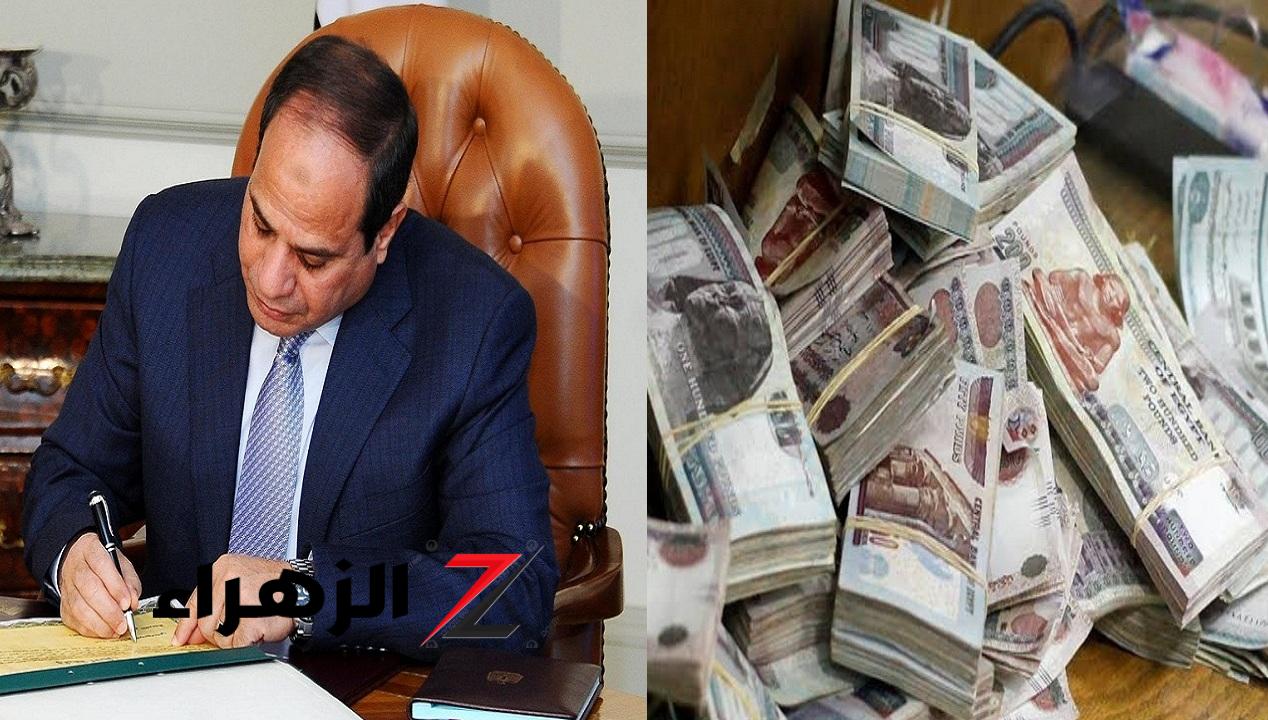 منها صرف منحة مالية بقيمة 1500 جنيه شهريًا.. 6 قرارات رئاسية جديدة لدعم هذه الفئة