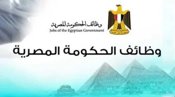 مرتب 8000 جنيه.. الحكومة تكشف عن وظائف جديدة لخريجي الكليات والدبلومات