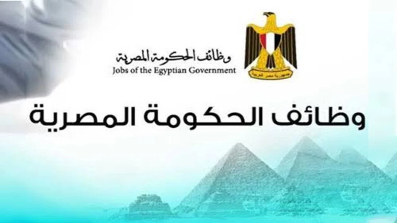 مرتب 8000 جنيه.. الحكومة تكشف عن وظائف جديدة لخريجي الكليات والدبلومات
