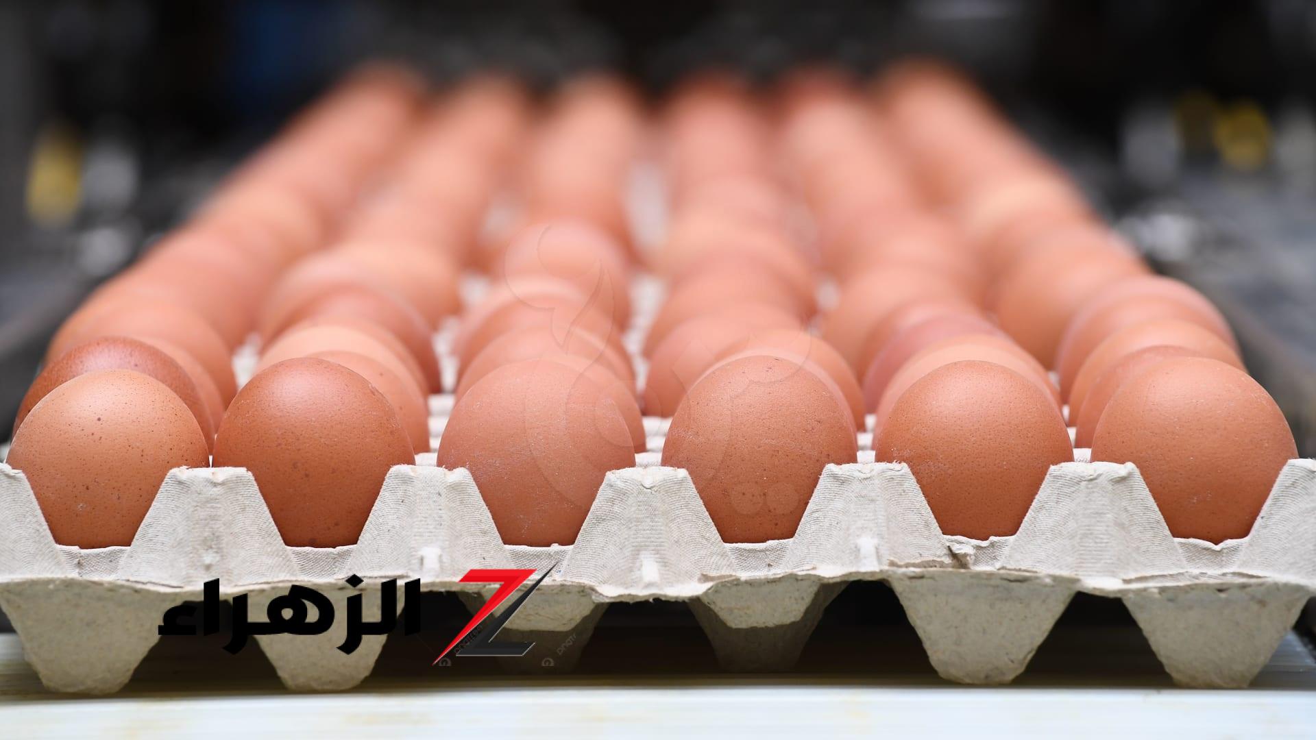 نزل 40 جنيه.. هبوط كبير يضرب أسعار البيض اليوم السبت بالأسواق