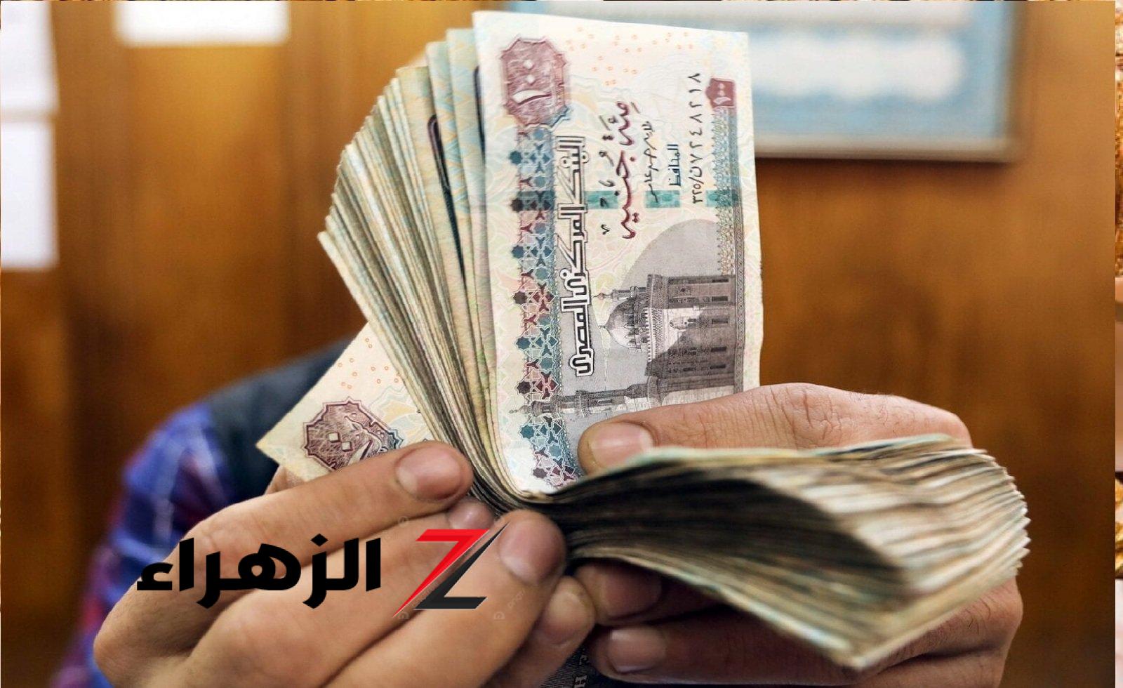 بعد الإعلان عنها.. الحكومة تحدد موعد زيادة المرتبات رسميًا | ومفاجأة للموظفين