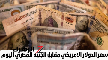 بعد الزيادة الأخيرة.. مفاجأة في سعر صرف الدولار اليوم أمام الجنيه داخل البنوك