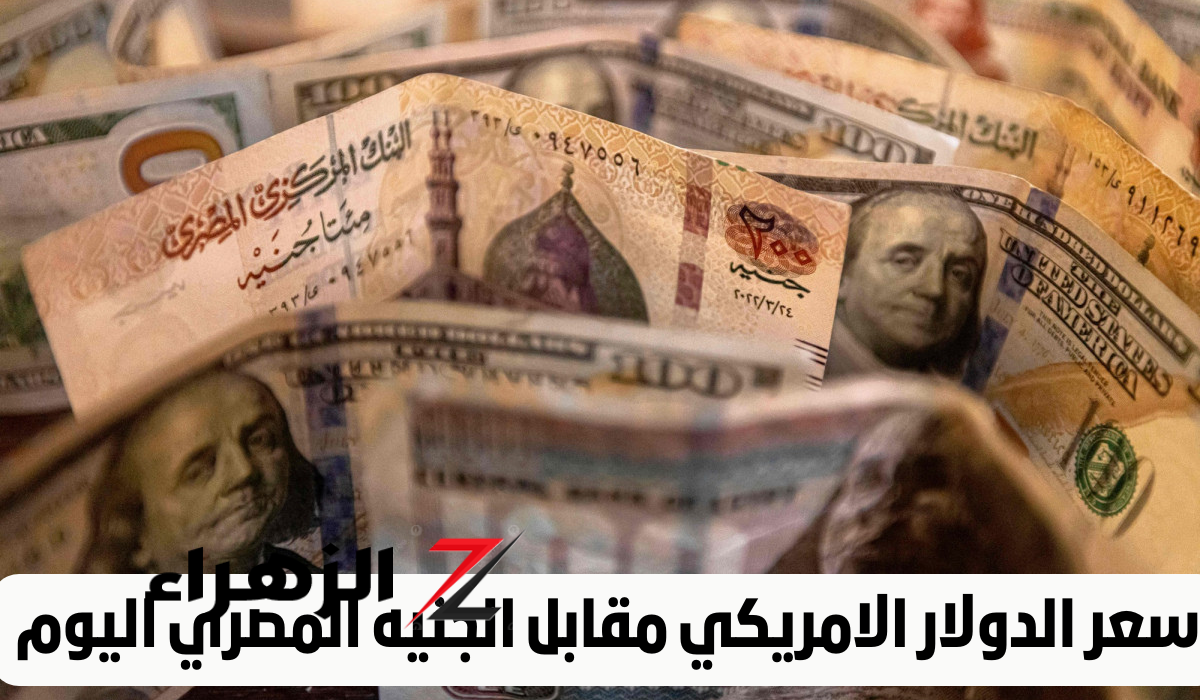 بعد الزيادة الأخيرة.. مفاجأة في سعر صرف الدولار اليوم أمام الجنيه داخل البنوك