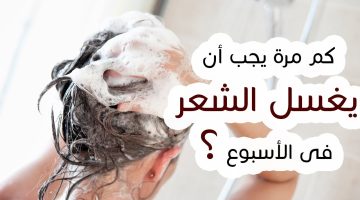 كم مرة يجب غسل الشعر في الأسبوع؟.. دارسة تكشف المفاجأة