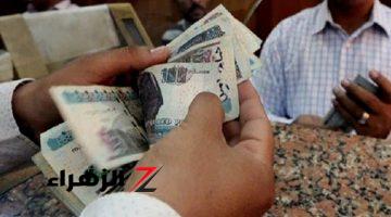 لو سنك فوق 40 سنة.. مفاجأة سارة لهذه الفئات بعد تطبيق قرار الحكومة