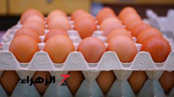 بعد قرار الحكومة.. انخفاض كبير في سعر كرتونة البيض | نزلت 50 جنيه