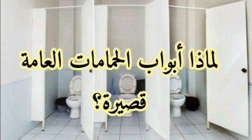 السؤال الذي حير الملايين.. لماذا تكون أبواب الحمامات العامة قصيرة؟ أخيراً عرفنا السبب