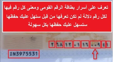 تعرف على أسرار بطاقة الرقم القومى ومعنى كل رقم فيها.. أسرار وخبايا لم تكن تتخيلها