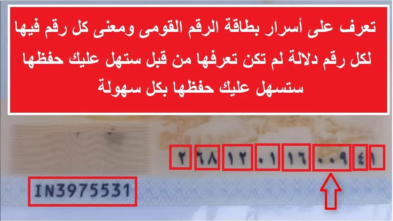 تعرف على أسرار بطاقة الرقم القومى ومعنى كل رقم فيها.. أسرار وخبايا لم تكن تتخيلها