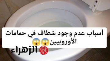 “السر اللي أوروبا مخبياه علينا”.. السبب وراء عدم وجود شطاف في حمامات الأوربيون السبب هيصدمك!!