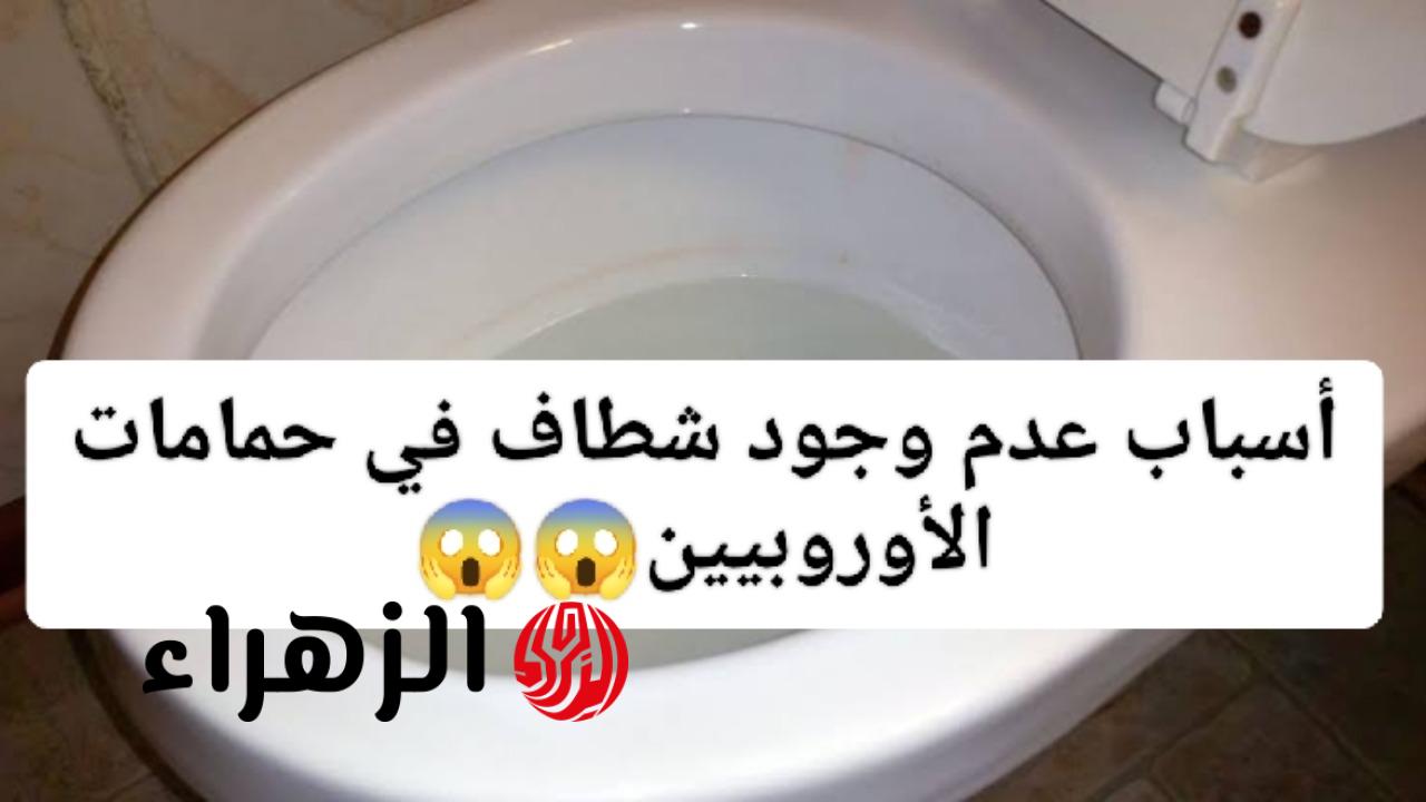 “السر اللي أوروبا مخبياه علينا”.. السبب وراء عدم وجود شطاف في حمامات الأوربيون السبب هيصدمك!!
