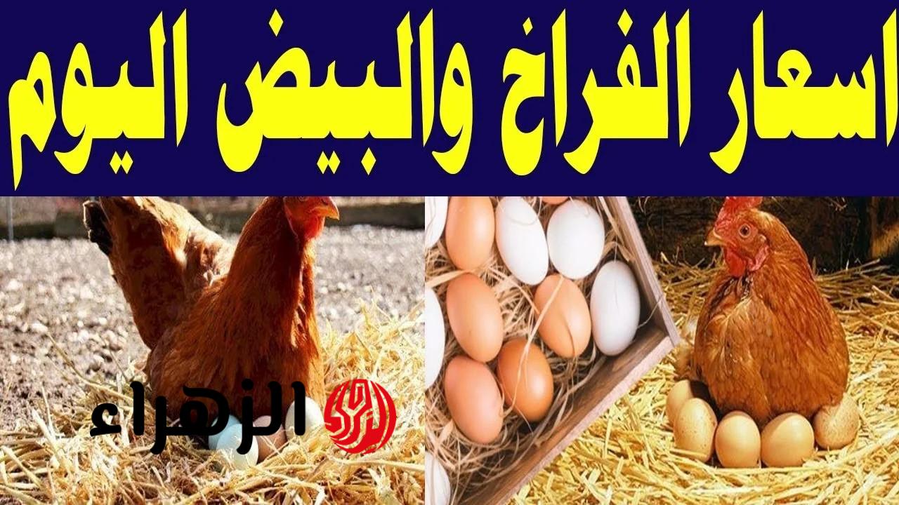 مفاجأة في الأسواق.. تراجع كبير في أسعار الفراخ والبانيه والبيض | شوف وصلت كام