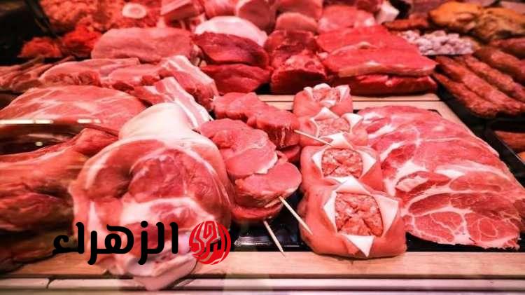 بعد قرار الحكومة.. مفاجأة للمواطنين بشأن أسعار اللحوم وهذا ثمن الكيلو الآن