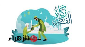 زكاة أم صدقة؟.. دار الافتاء تحسم الجدل حول الحكم الشرعي لشنطة رمضان