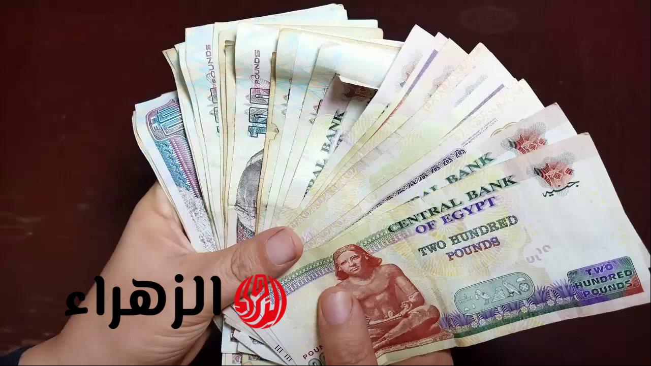 زيادة 2500 جنيه لأصحاب المعاشات رسميًا.. قرار الحكومة يحسم الجدل