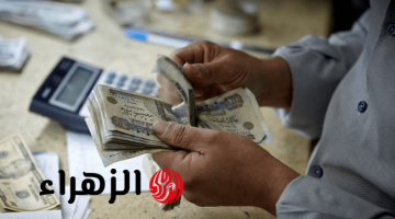مبروك يا ست الكل.. صرف معاش شهري للسيدات غير العاملات والتأمينات تكشف التفاصيل