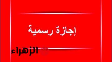 الإجازة الرسمية المقبلة في مصر.. هل يحصل الموظفون على عطلة 30 يونيو الخميس؟