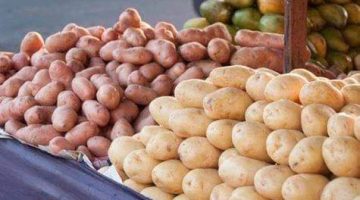 السر في القشرة.. حيلة بسيطة للتعرف على الفرق بين بطاطس التحمير والطبخ