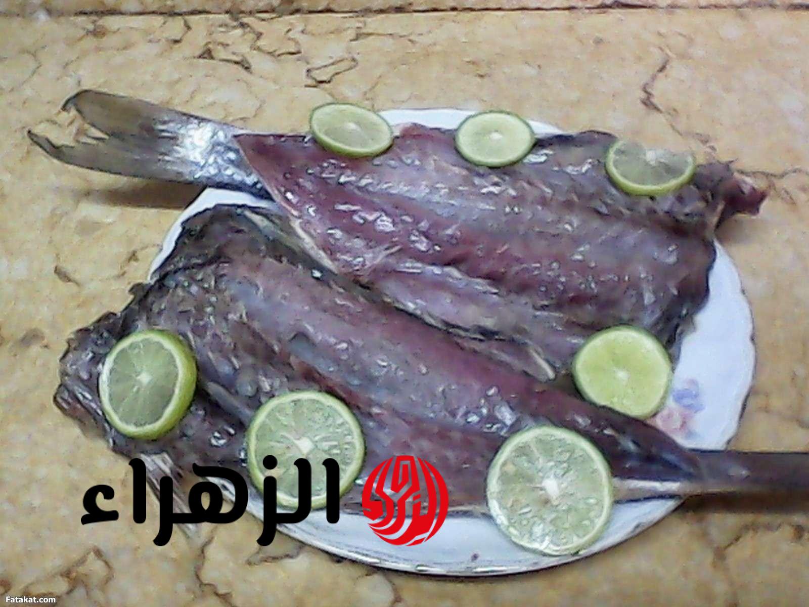 هل يجوز أكل الفسيخ يوم شم النسيم؟.. الافتاء تحسم الجدل