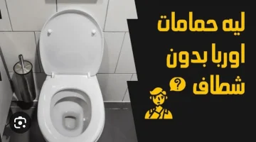 ما السر وراء عدم وجود شطاف في حمامات الأوروبيون؟.. مفاجأة