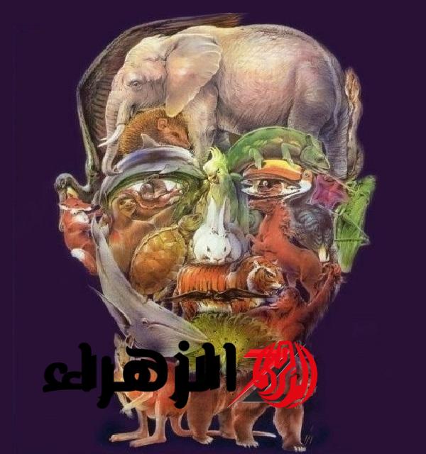 «لو نظرك 10 على 10».. هل يمكنك العثور على الجمل بين 25 حيوان فى هذه الصورة؟| تبقى عبقري لو عرفتها