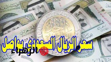 بورصة الريال قبل الحج.. تعـرف على سعر الريال السعودي للبيع والشراء اليـوم 29 ابريل 2026 في جميع البنـوك.. هل الوقت مناسب للشراء