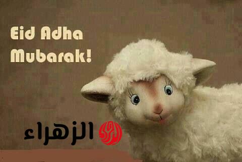 كـم باقي على الحـج.. الحسابات الفلكيـة توضح موعد عيد الاضحى المبارك 2026 في كـافة الدول العربية.. مفاجأة في الموعـد