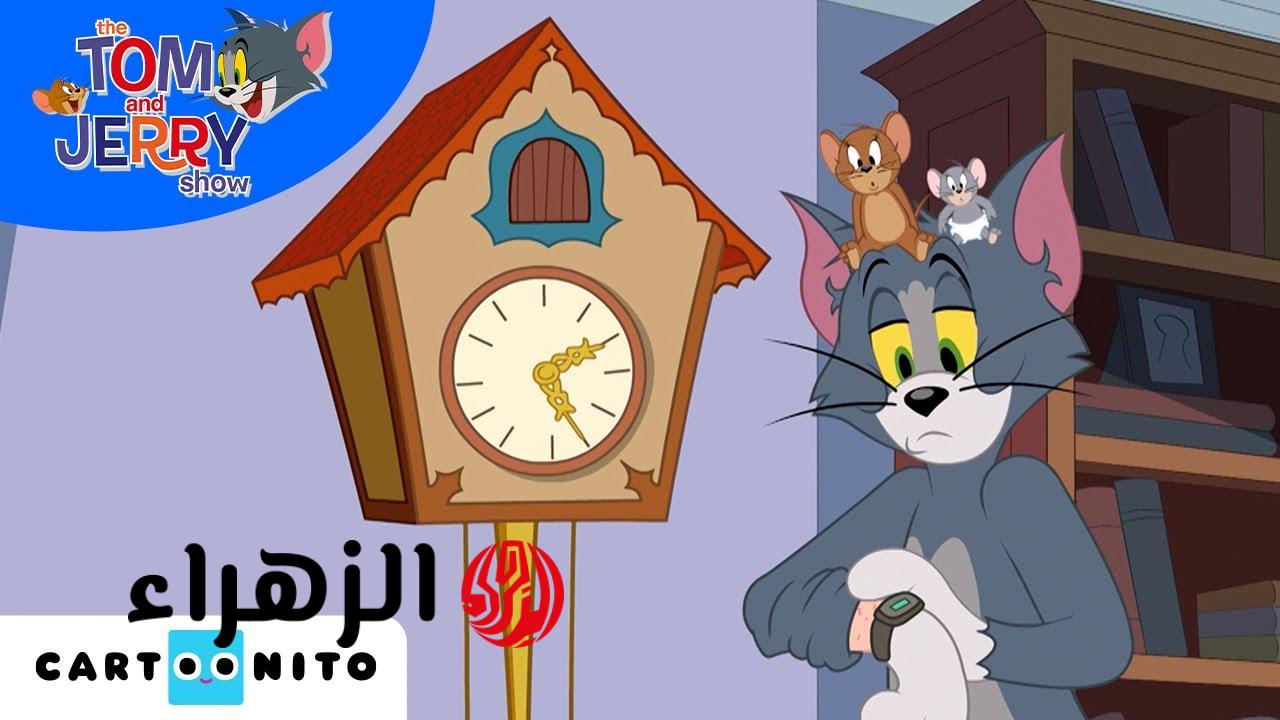 أقـوى المغـامرات.. تردد قناة كرتون نتورك بالعربية 2026 Cartoon Network واستمتع بمغامرات العـم جدو على مدار 24 سـاعة