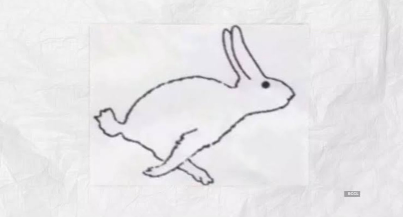 أرنب أم بطة؟.. ما تراه أولًا يكشف هل أنت شخص عاطفي أم منطقي
