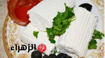 عيالك هيدمنوها.. 3 إضافات للجبن القريش هتغير طعمها 180 درجة