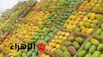 بكام الكيلو؟.. بشاير المانجو تظهر فى الأسواق وهذا موعد ذروة المحصول