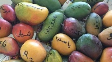 خليك ذواق.. تاجر مانجو يكشف أفضل الأنواع للأكل والعصير “العويس تتصدر”