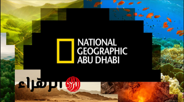 “أجمل الأفلام الوثائقية” تردد قناة ناشيونال جيوغرافيك 2026 لمتابعة أجمل برامج الطبيعية الخلابة على مدار 24 سـاعة