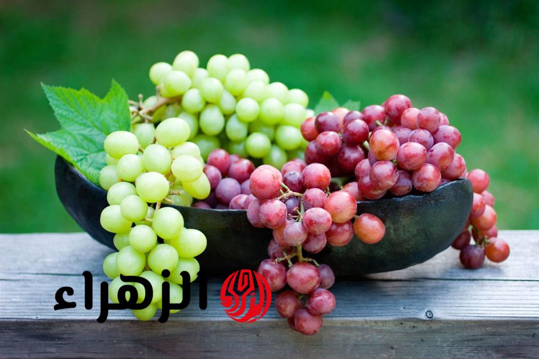 الكيلو وصل لـ 130 جنيه.. شعبة الفاكهة تكشف سبب ارتفاع سعر العنب في الأسواق