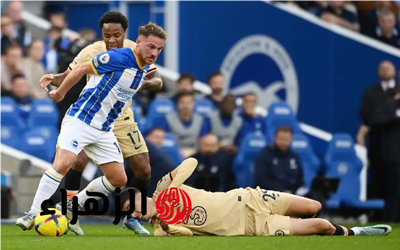 Brighton vs Chelsea.. قنـاة ببـلاش تذيـع مباراة برايتون ضد تشيلسي في الدوري الانجليزي الممتاز 2026 اليـوم