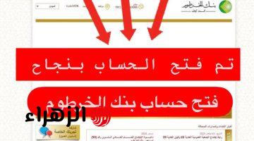 بدون رسـوم يـازول.. متـاح الآن فتح حساب بنك الخرطوم اونلاين بالرقم الوطنـي لجمـيع العمـلاء عبر bankofkhartoum