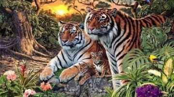 كم نمراً ترى في هذه الصورة؟.. اللغز يحدد ما إذا كان تركيزك جيداً أم لا