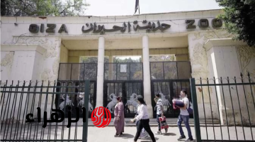 سؤال الملايين.. هل تفتح جنينة الحيوان بالجيزة أبوابها قبل عيد الأضحى 2026؟