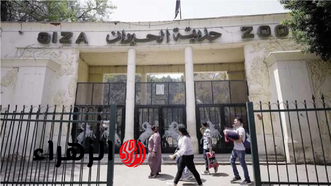 سؤال الملايين.. هل تفتح جنينة الحيوان بالجيزة أبوابها قبل عيد الأضحى 2026؟