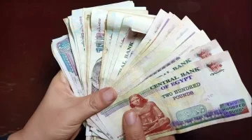 صرف المستحقات قبل موعدها.. التضامن تعلن عن تقديم خدمة جديدة لأصحاب المعاشات