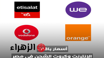 عاجل الآن.. حقيقة ارتفاع أسعار كروت الشحن وباقات الإنترنت في مصر 2026.. القرار الرسمي يحسم الجدل