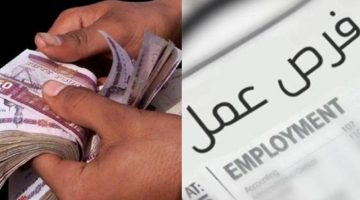 فرص عمل برواتب تصل لـ25 ألف جنيه.. قدم الآن