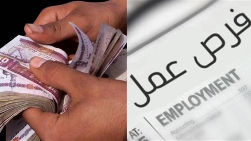 برواتب تصل 12 ألف جنيه شهريًا.. وزارة العمل تعلن عن وظائف جديدة
